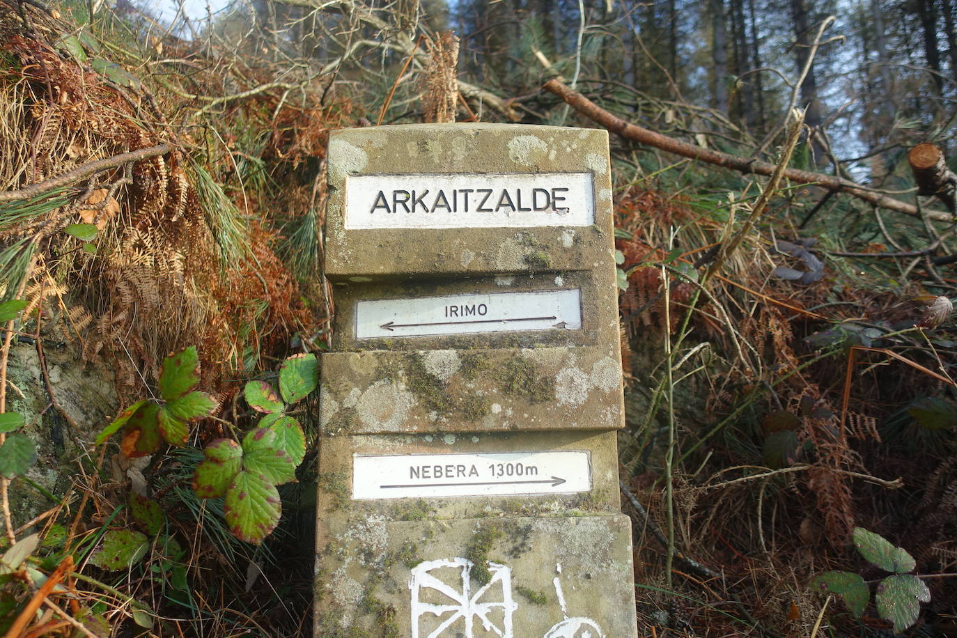 Fotos: Irimo, silencioso guardián del Urola