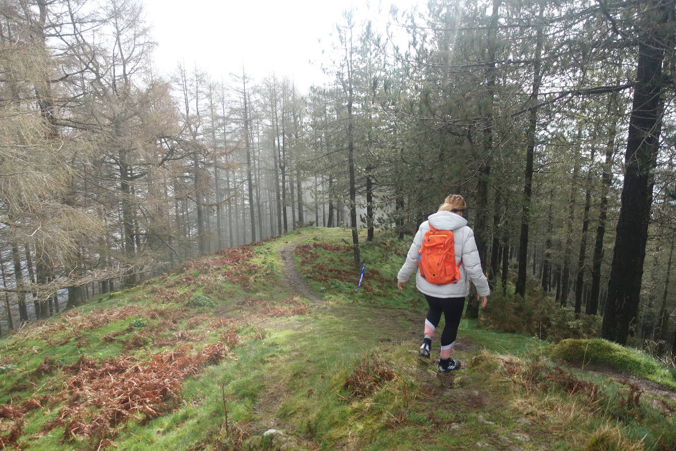 Fotos: Irimo, silencioso guardián del Urola
