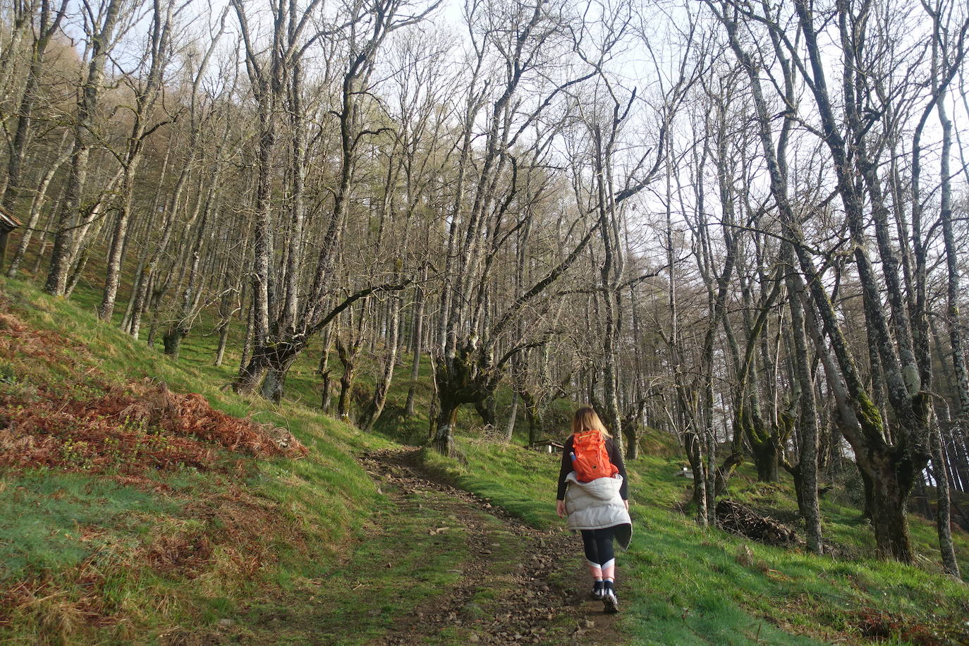Fotos: Irimo, silencioso guardián del Urola