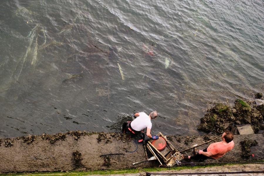 Fotos: El PP de San Sebastián denuncia la basura que hay en el Urumea