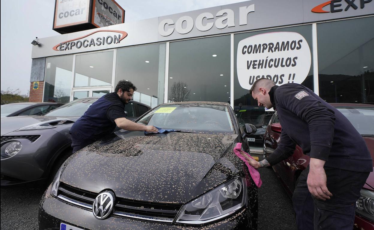 Dos empleados de un concesionario limpian un vehículo. 