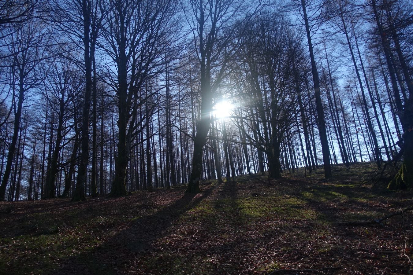 Fotos: Guratz, de camino a Santa Bárbara