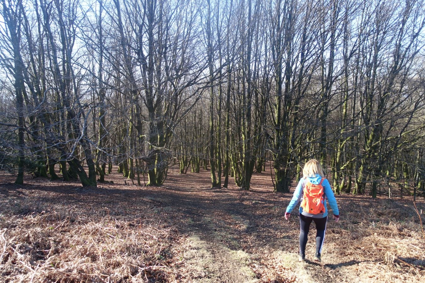 Fotos: Guratz, de camino a Santa Bárbara