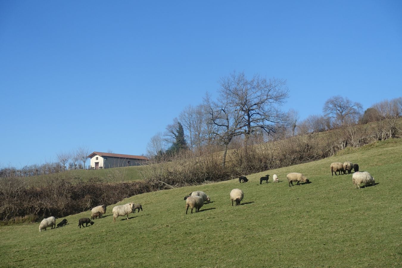 Fotos: Guratz, de camino a Santa Bárbara