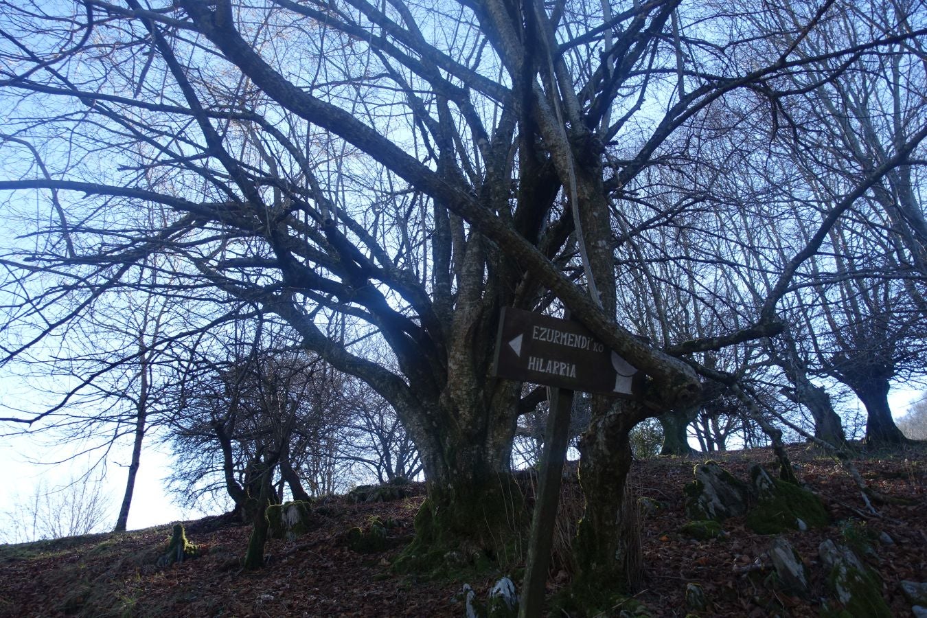 Fotos: Guratz, de camino a Santa Bárbara