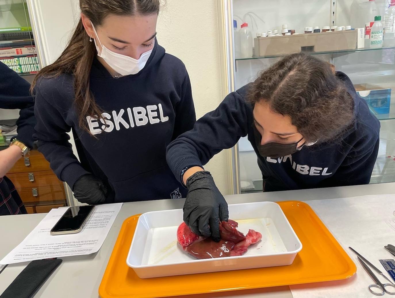 Trabajando en el laboratorio.