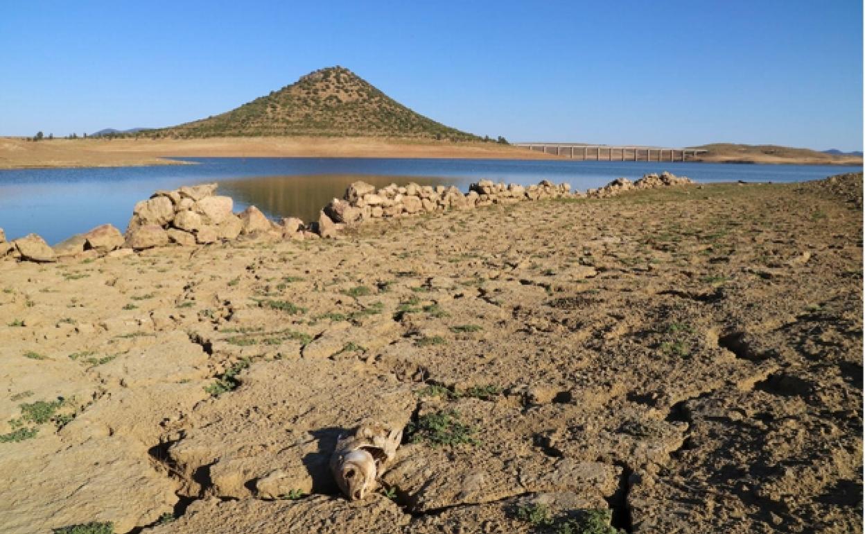 Embalse extremeño de La Serena en octubre de 2020, cuando se encontraba al 18% de su capacidad. 