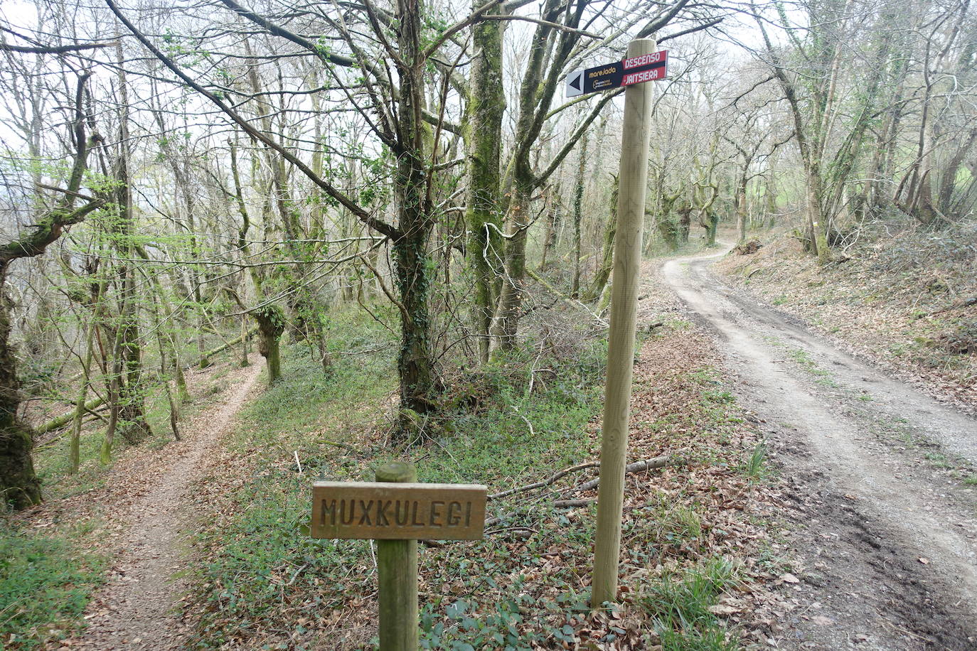 Fotos: Intxur, por el antiguo castro de Tolosaldea