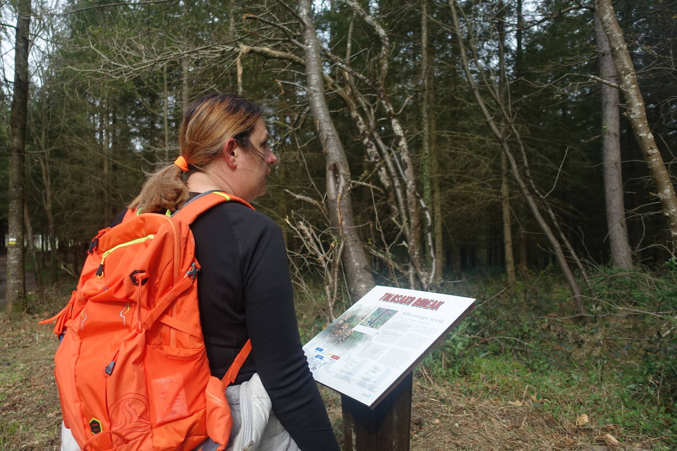 Fotos: Intxur, por el antiguo castro de Tolosaldea