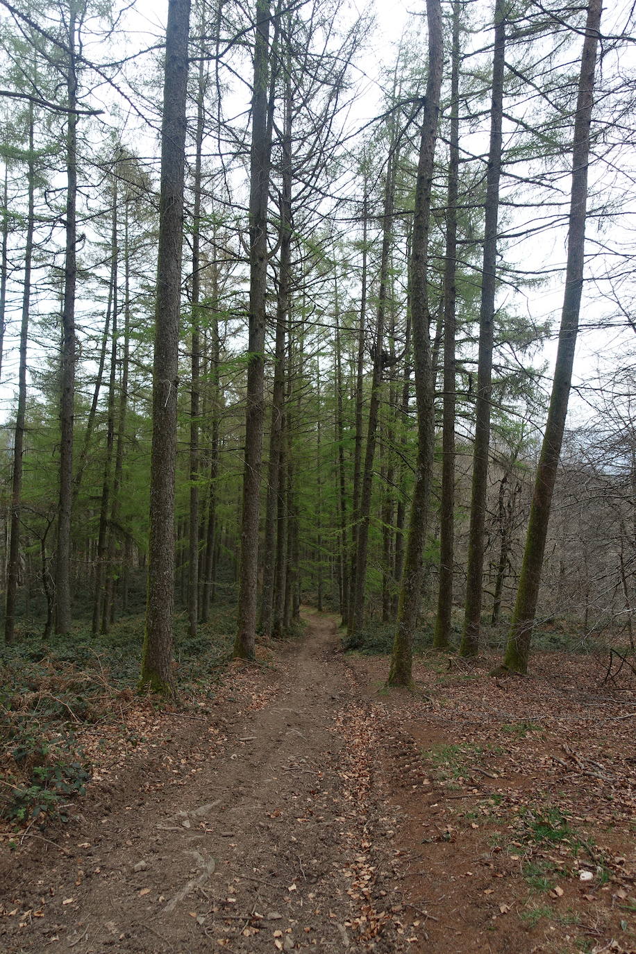 Fotos: Intxur, por el antiguo castro de Tolosaldea