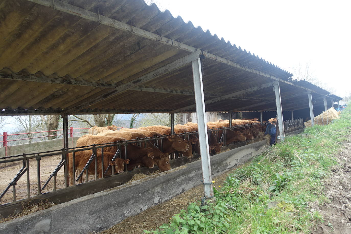 Fotos: Intxur, por el antiguo castro de Tolosaldea