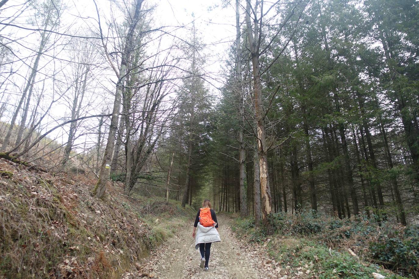 Fotos: Intxur, por el antiguo castro de Tolosaldea