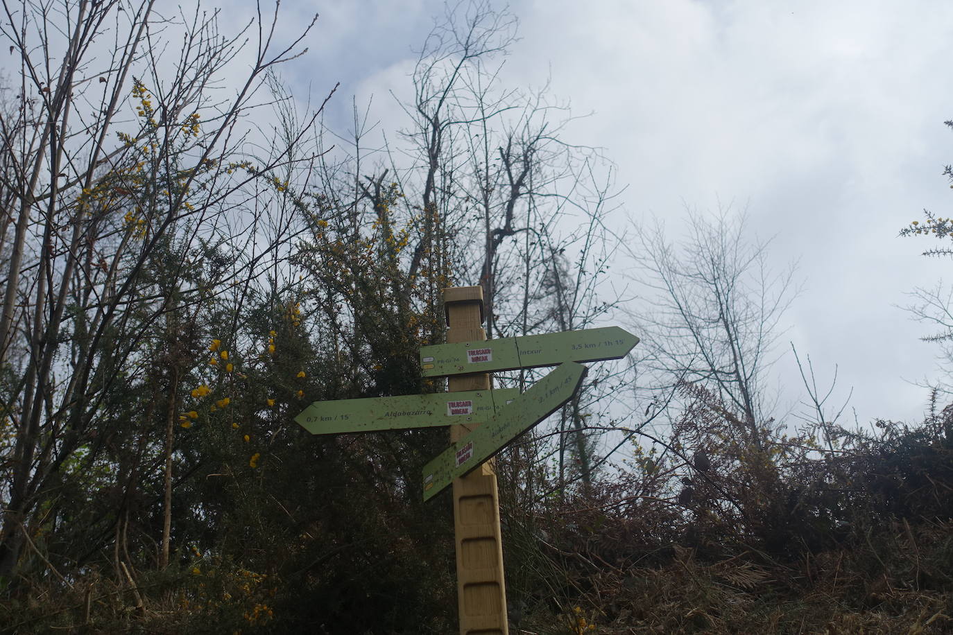 Fotos: Intxur, por el antiguo castro de Tolosaldea