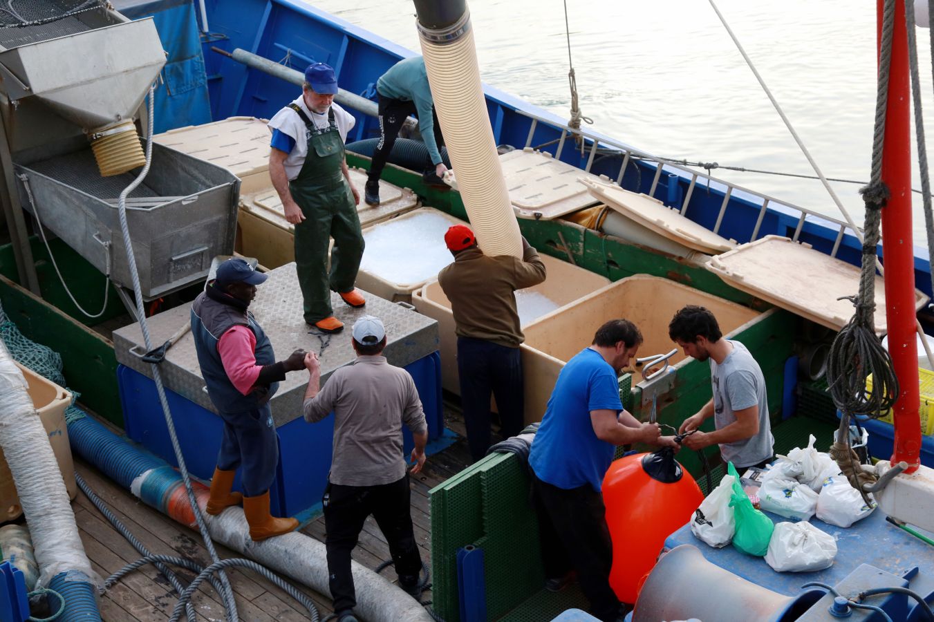 Fotos: La flota vuelve a la mar