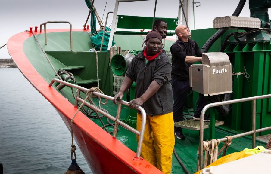 Fotos: La flota vuelve a la mar