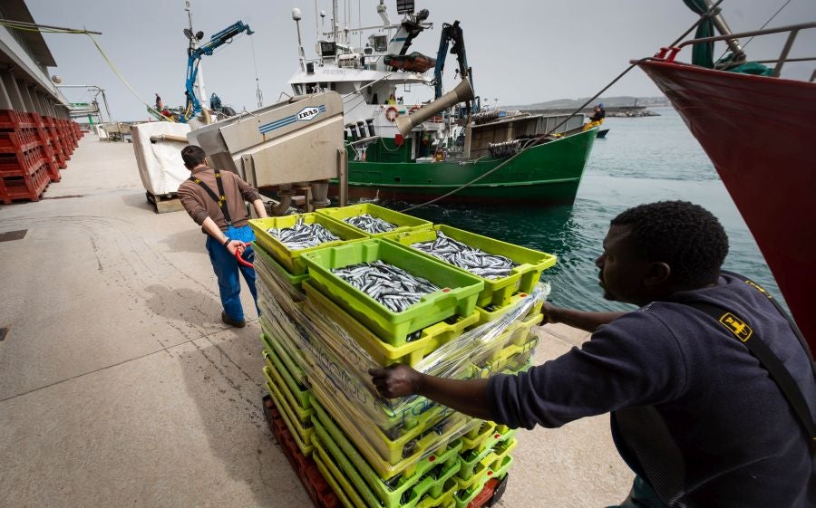 Fotos: La flota vuelve a la mar