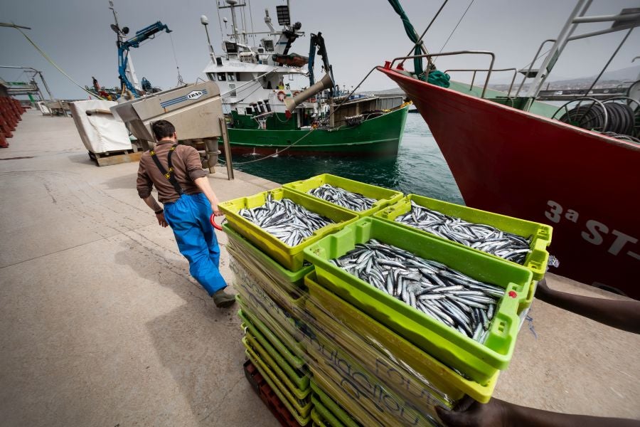 Fotos: La flota vuelve a la mar