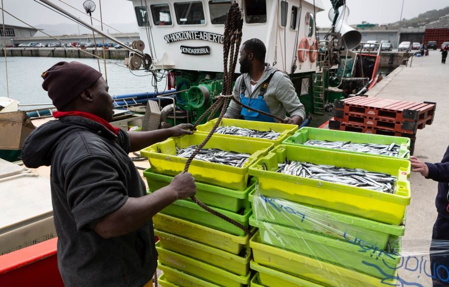 Fotos: La flota vuelve a la mar