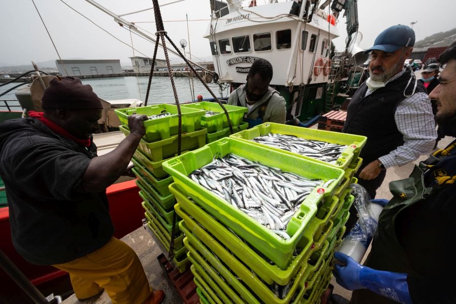 Fotos: La flota vuelve a la mar