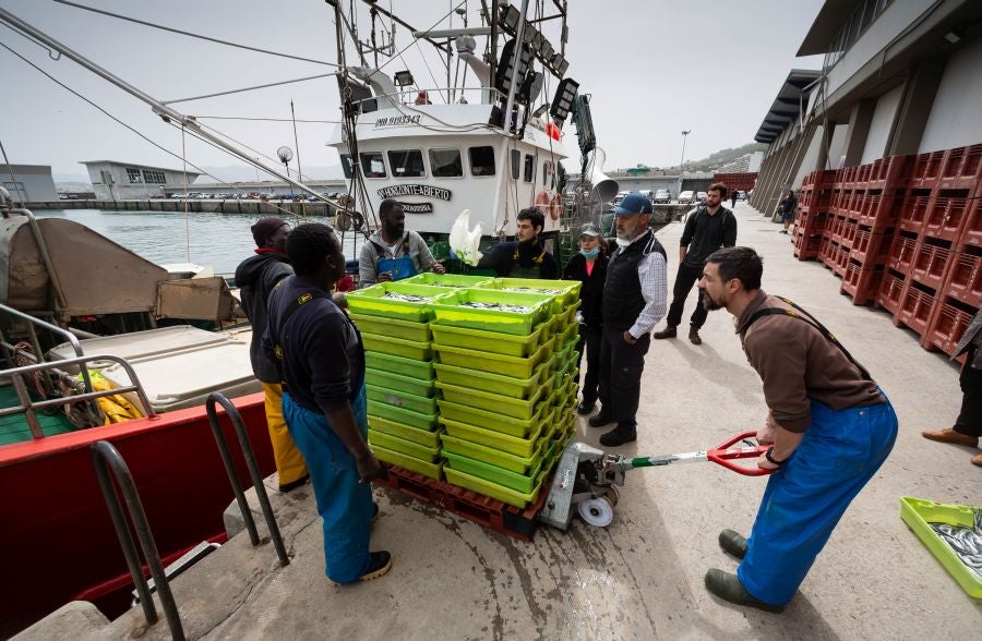 Fotos: La flota vuelve a la mar