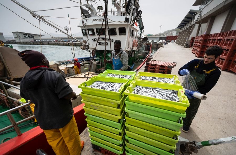 Fotos: La flota vuelve a la mar