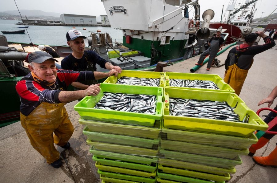 Fotos: La flota vuelve a la mar