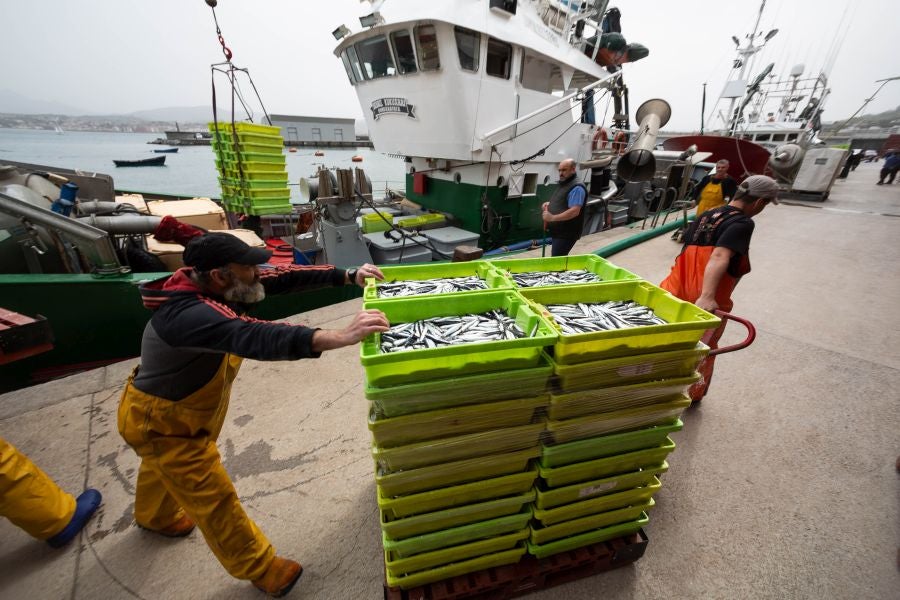 Fotos: La flota vuelve a la mar