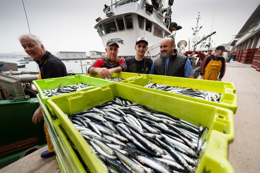 Fotos: La flota vuelve a la mar