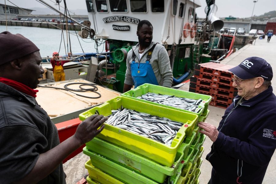 Fotos: La flota vuelve a la mar