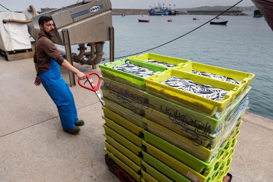 Fotos: La flota vuelve a la mar