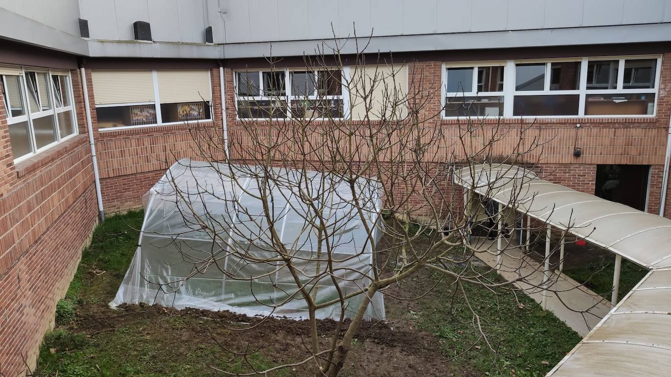 Preparando el nuevo invernadero.