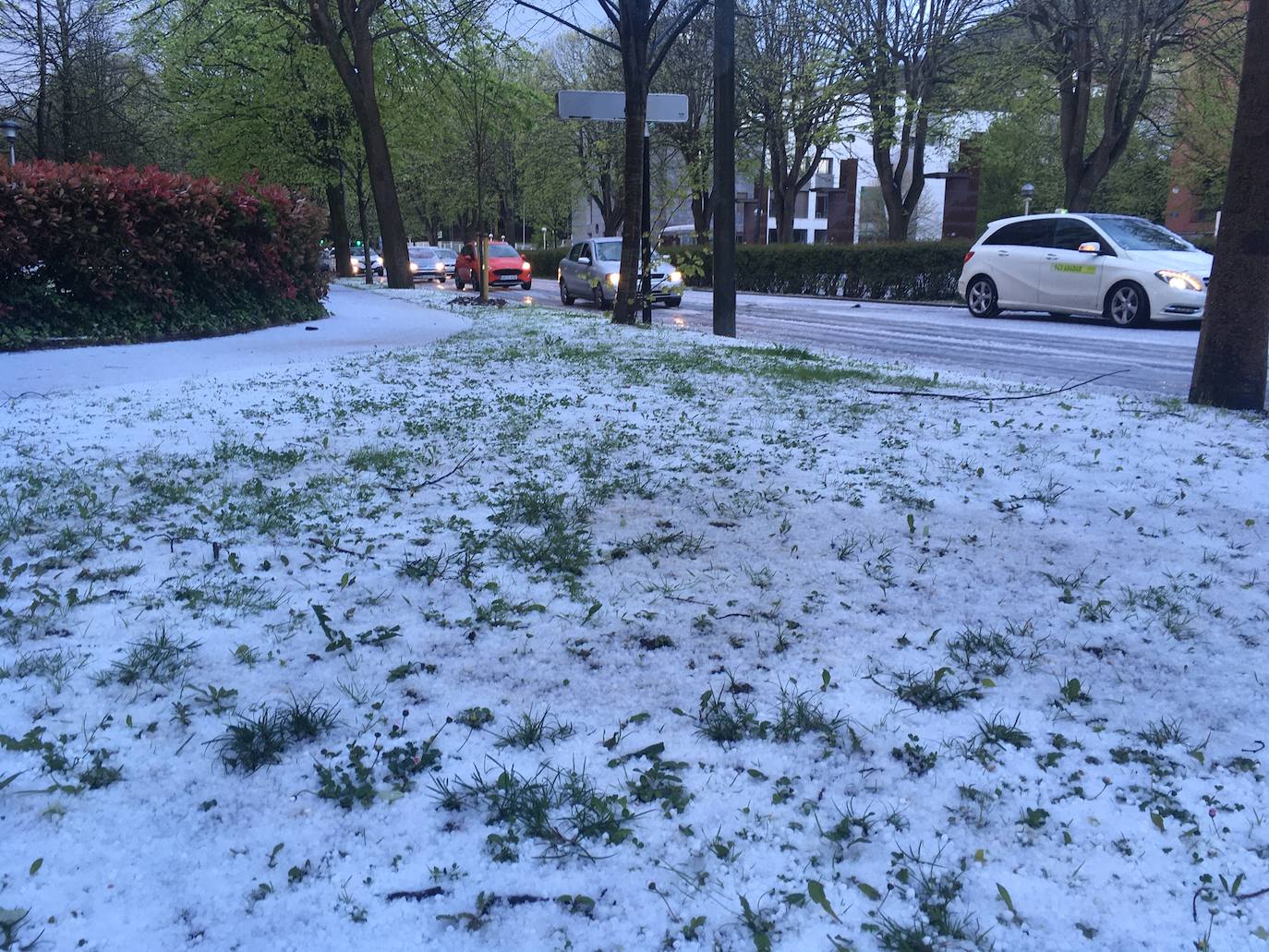 Fotos: La nieve complica la circulación en las carreteras de Gipuzkoa