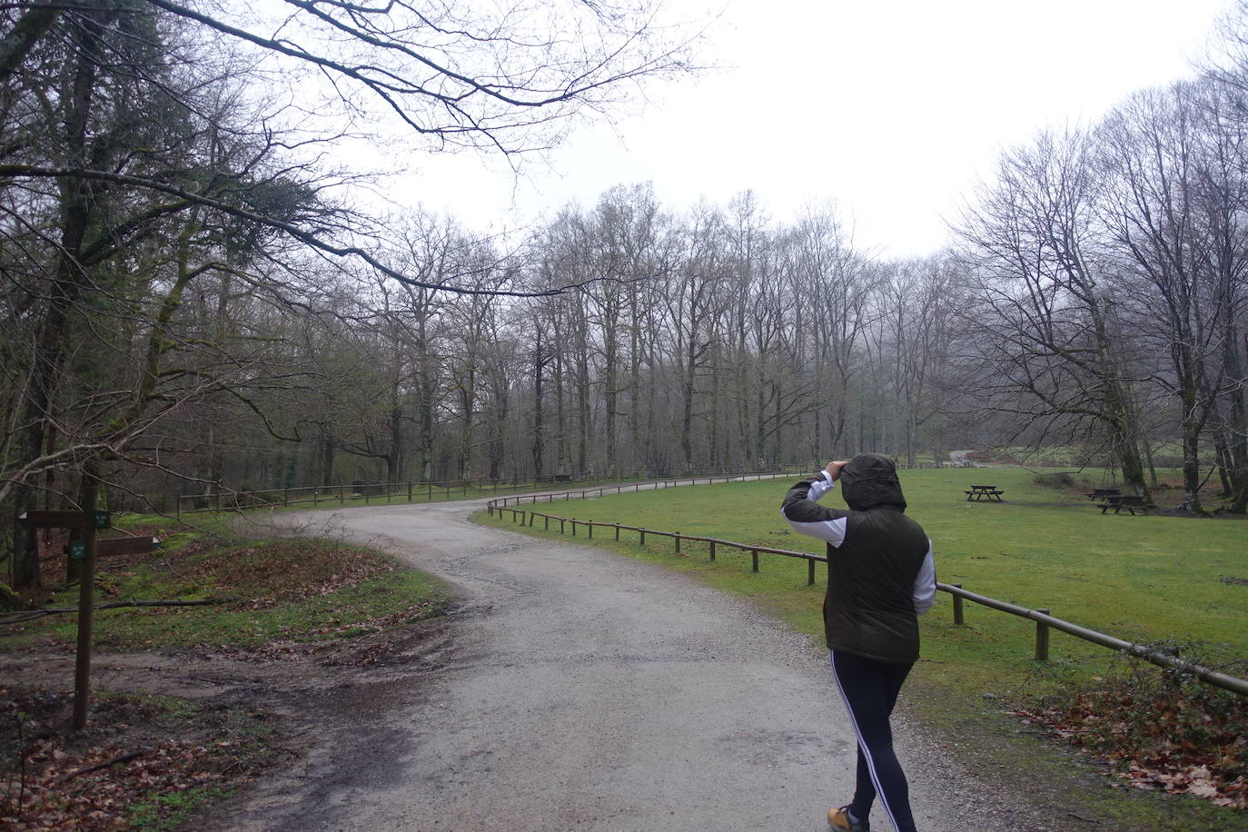 Fotos: Urepel, el señor de las mugas por siglos