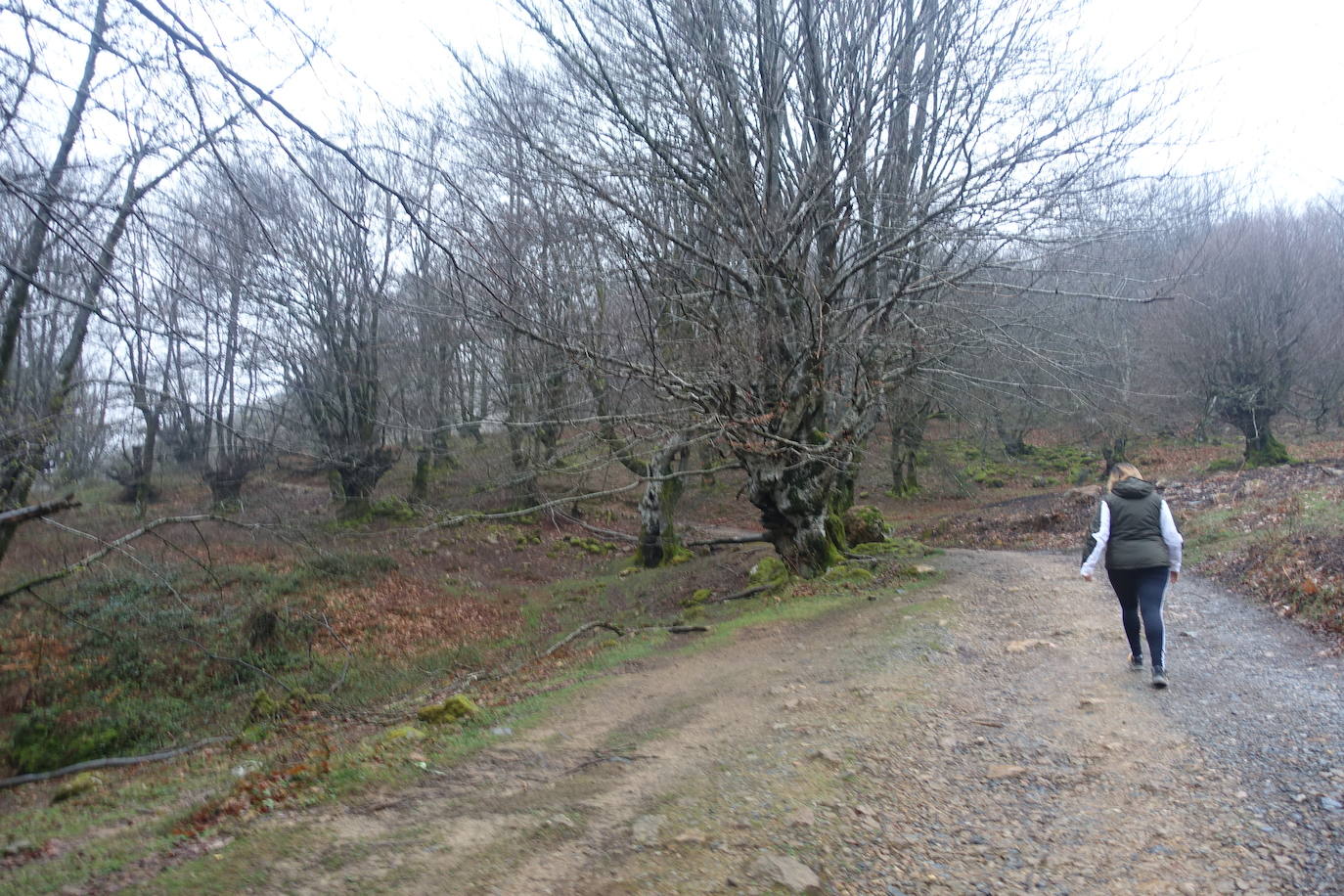 Fotos: Urepel, el señor de las mugas por siglos