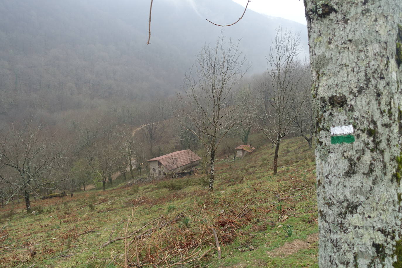 Fotos: Urepel, el señor de las mugas por siglos