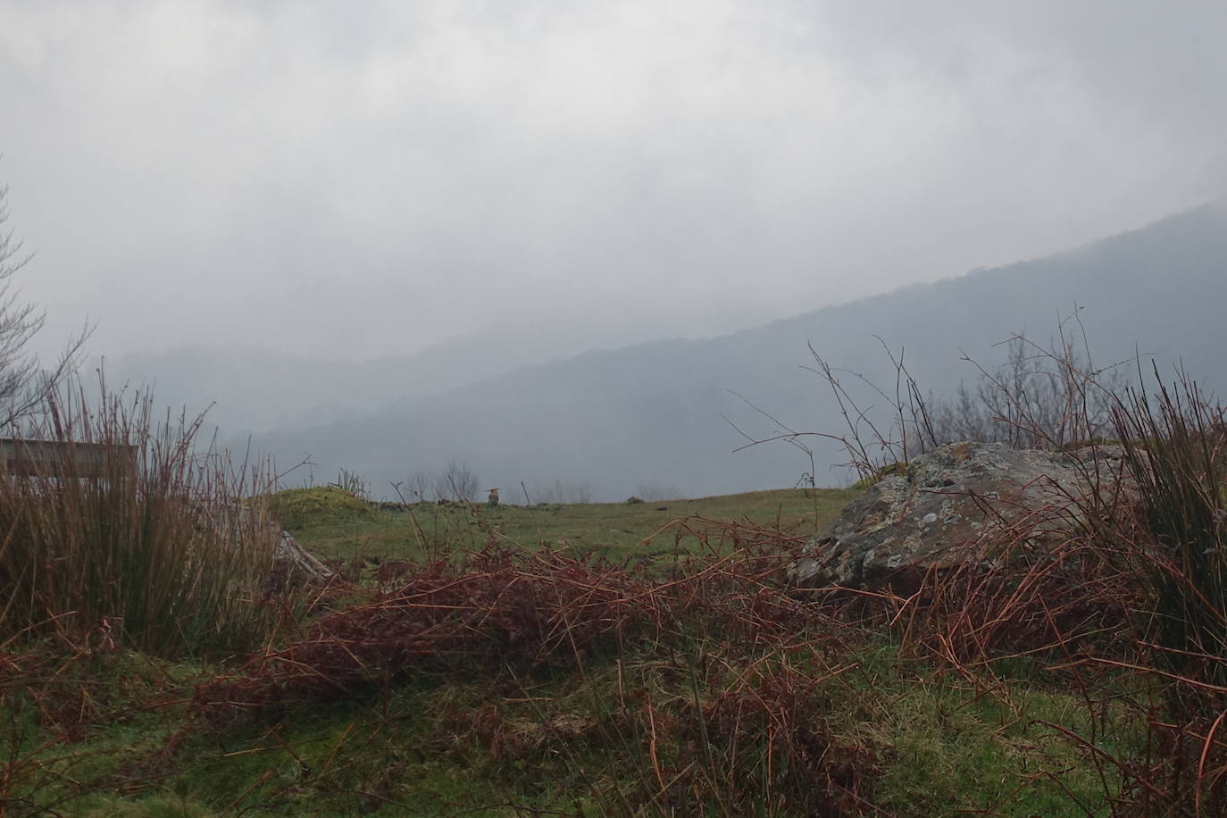 Fotos: Urepel, el señor de las mugas por siglos