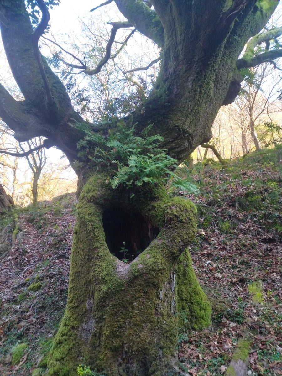 Fotos: Kopako harria, a los pies de la gran mole