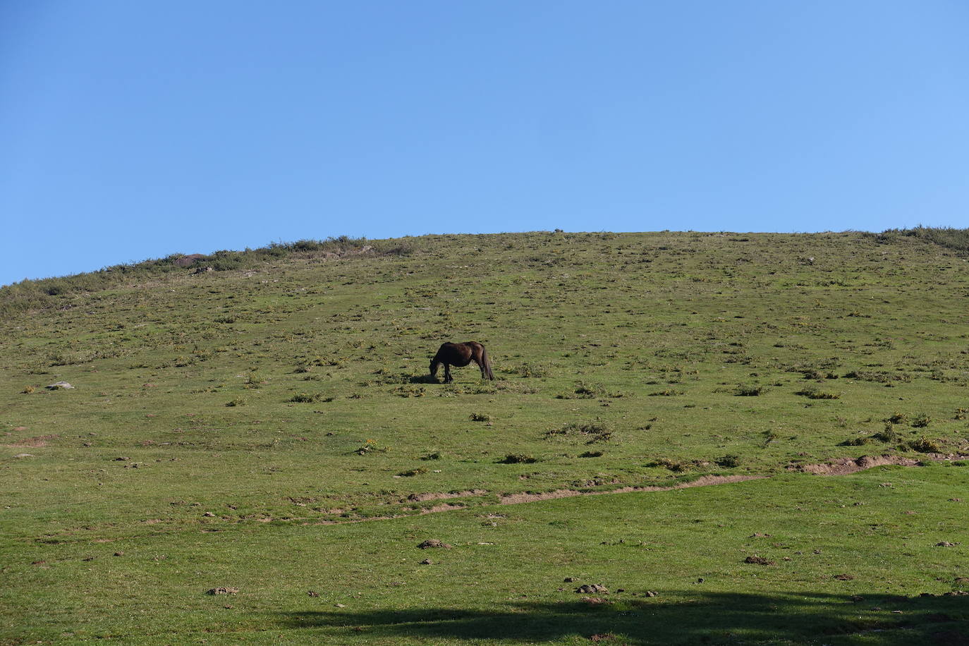 Fotos: Mulisko gaina. La magia materializada