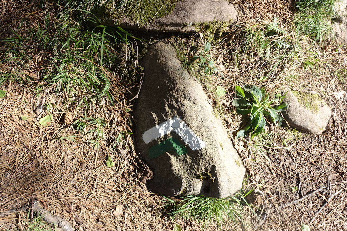 Fotos: Mulisko gaina. La magia materializada