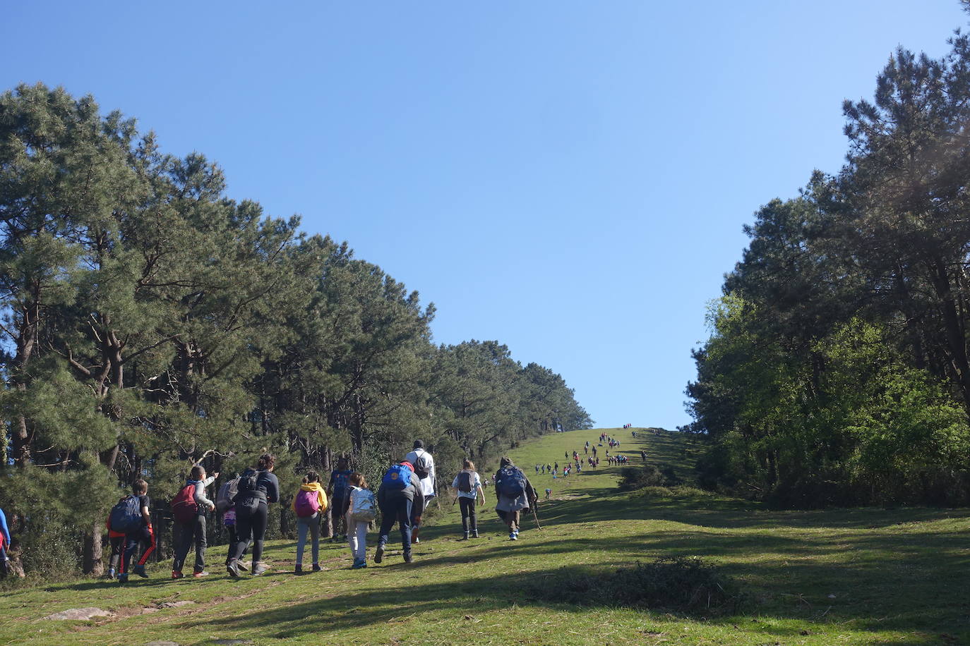 Fotos: Mulisko gaina. La magia materializada