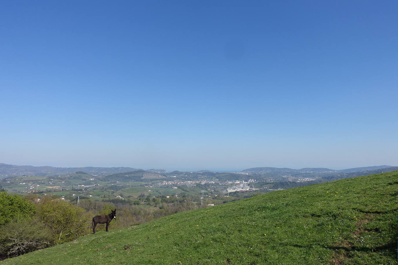 Fotos: Mulisko gaina. La magia materializada