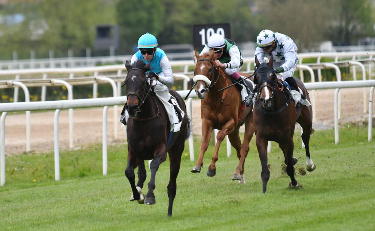 El hipódromo donostiarra acogerá una sesión matinal el próximo viernes. 