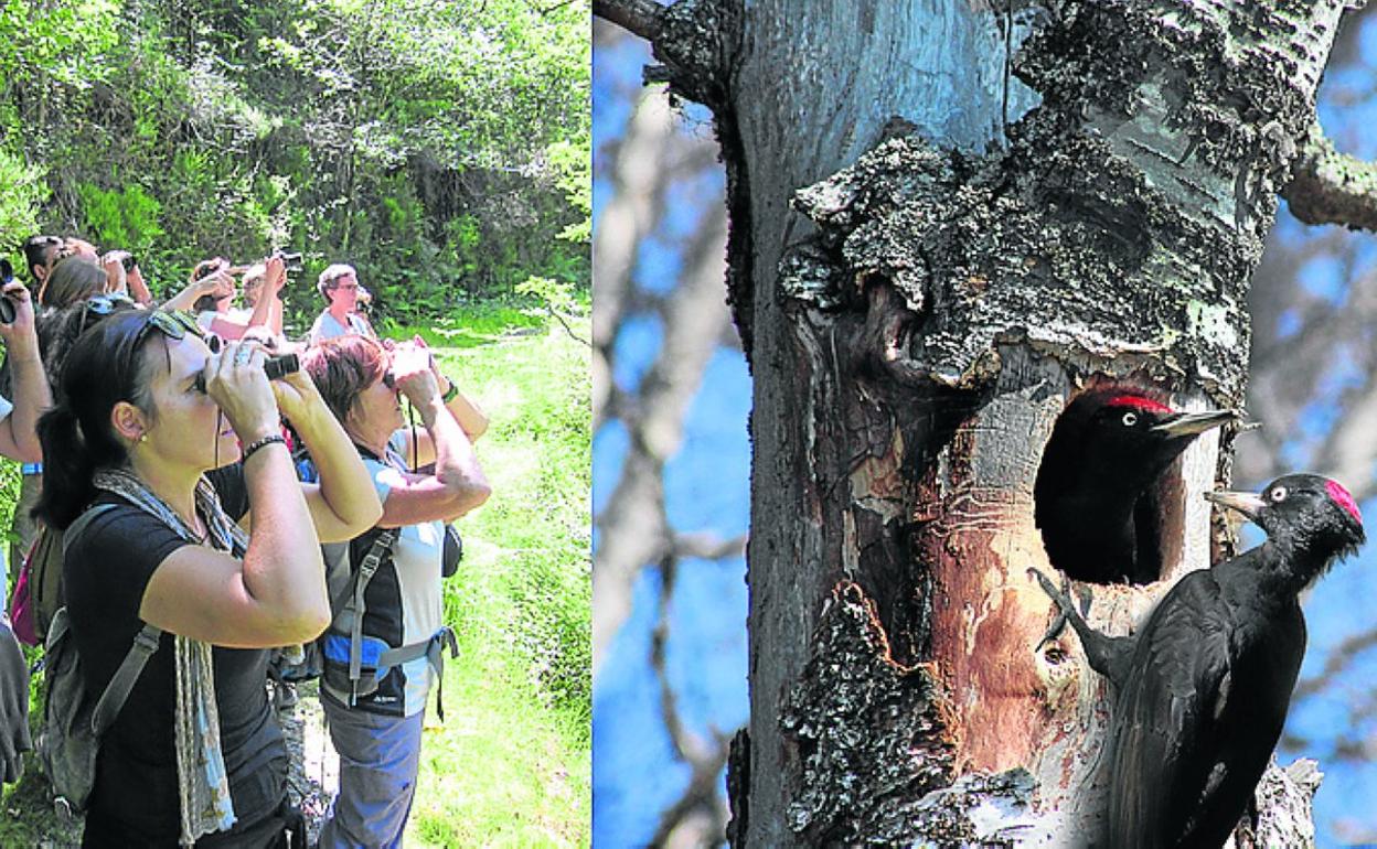 Okilaren bizimodua ezagutzeko irteera gidatua izango da. 