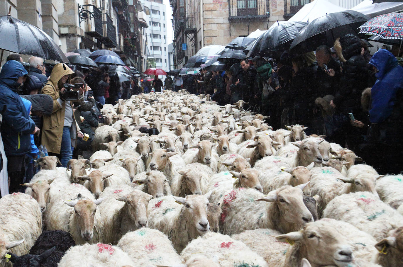 Fotos: Las mejores imágenes del Artzain eguna