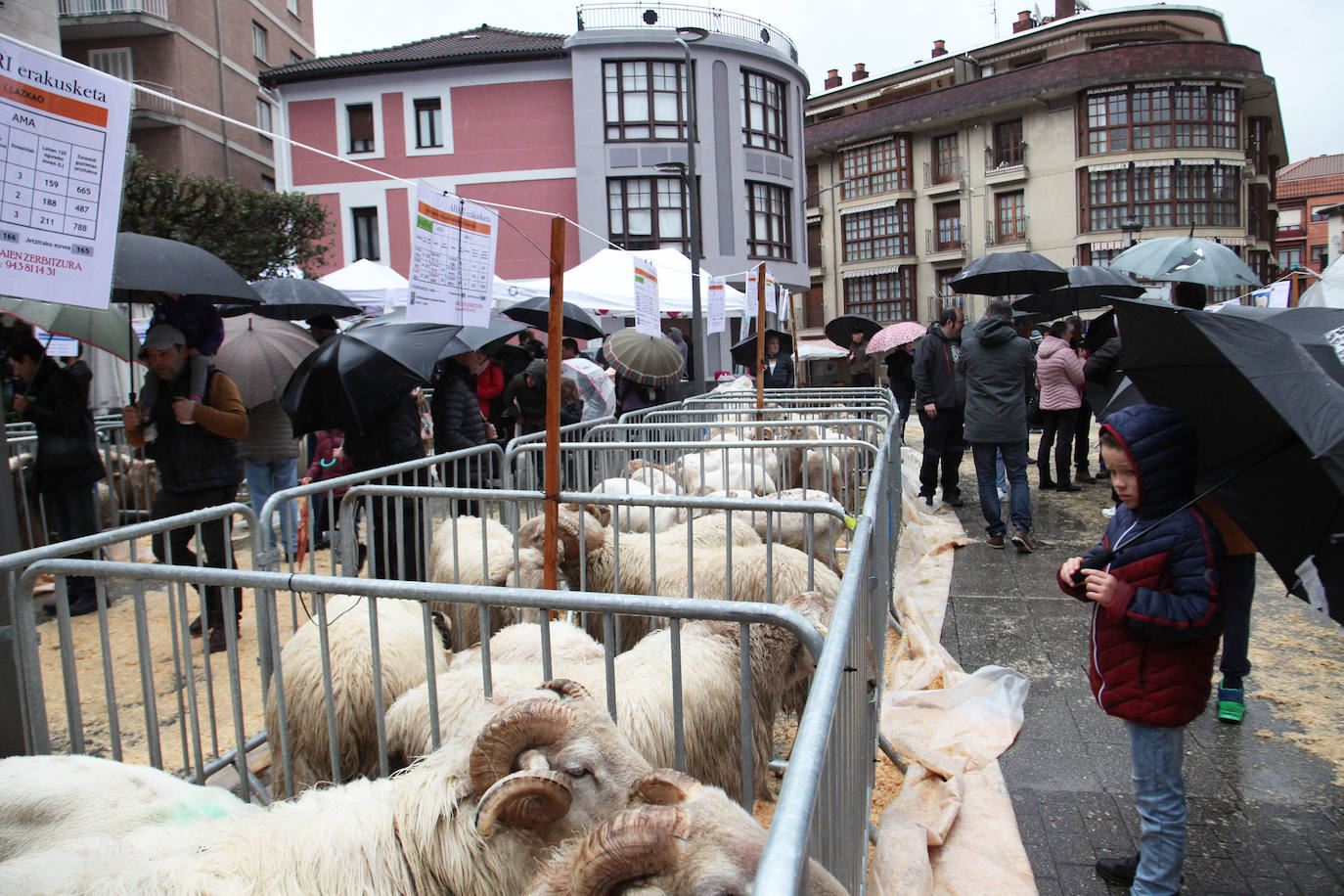 Fotos: Las mejores imágenes del Artzain eguna