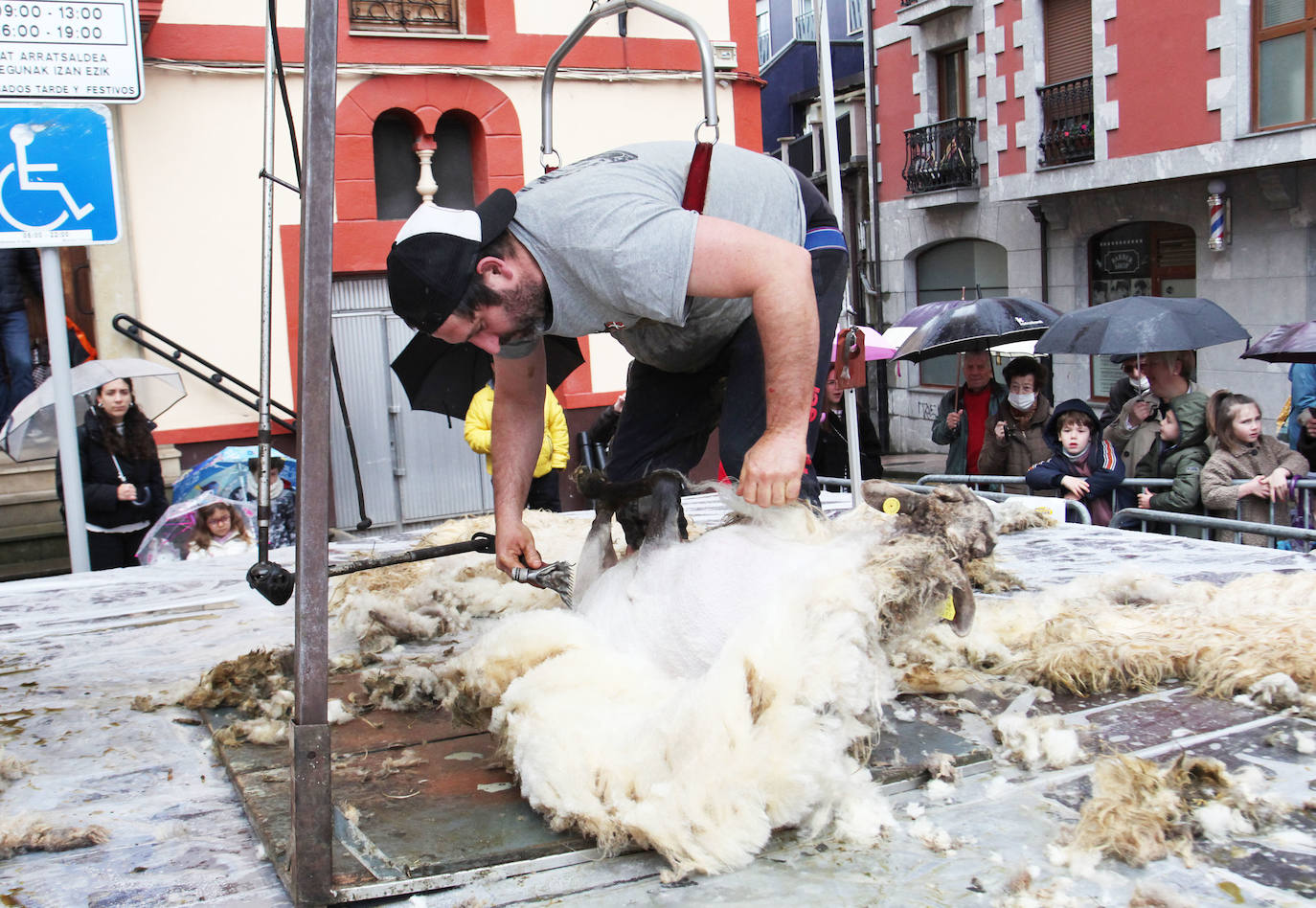 Fotos: Las mejores imágenes del Artzain eguna