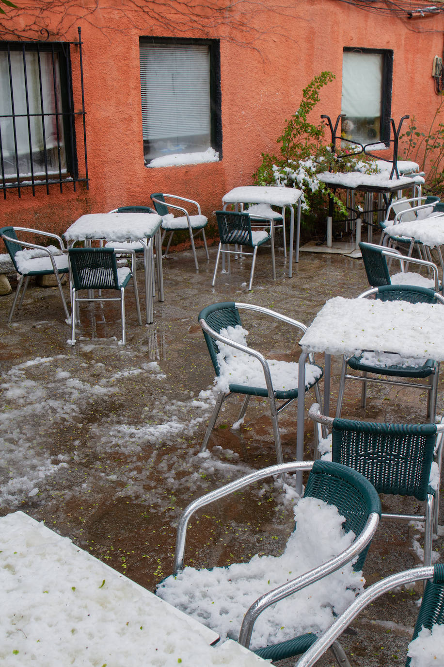 Nieve en Navacerrada