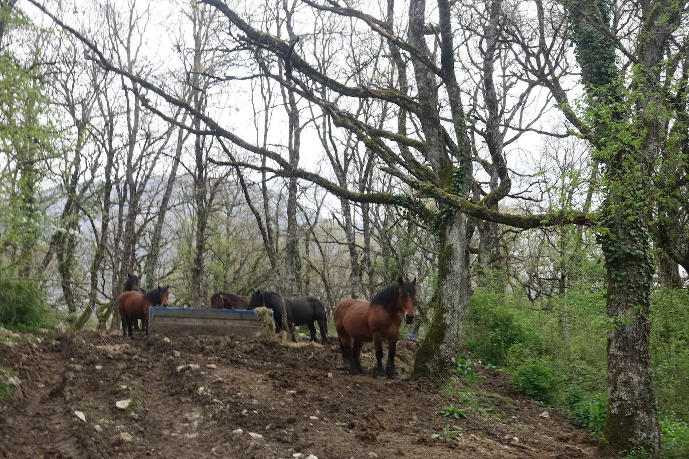 Fotos: Aitxita. La fortaleza de las Dos Hermanas
