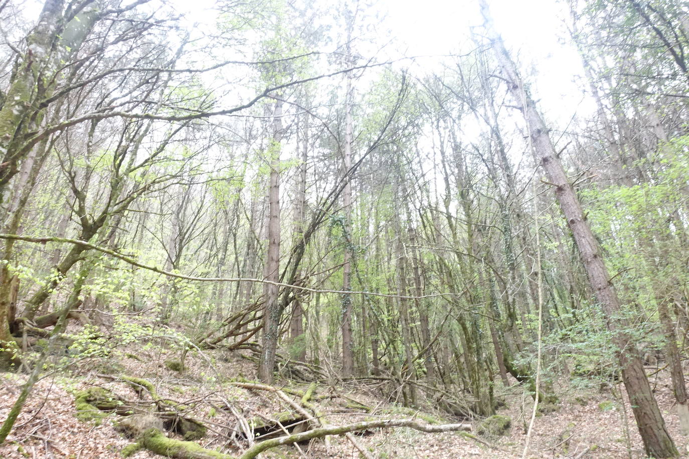 Fotos: Aitxita. La fortaleza de las Dos Hermanas