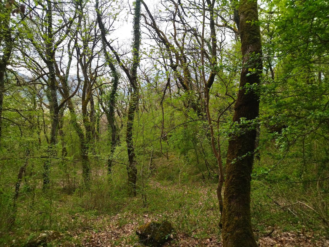 Fotos: Aitxita. La fortaleza de las Dos Hermanas